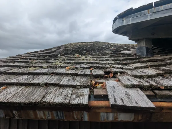 Deteriorating timber shingles on the roof of the Cors Caron bird hide