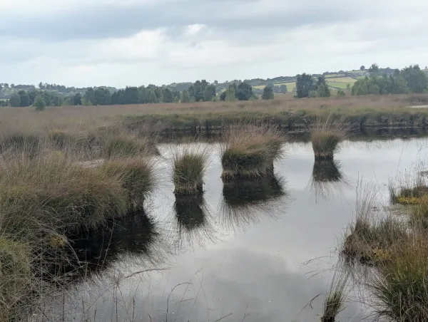 Cors Carron bog